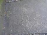 image of grave number 947477